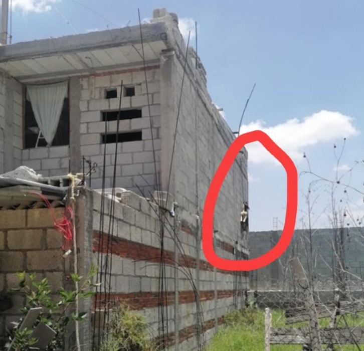 ZuritaCarpio's tweet photo. #Tabasco
Exigen justicia tras hallazgo de perrito ahorcado en azotea

Un  acto de crueldad animal tiene consternados a los vecinos de Teapa, Tabasco. Un perrito fue encontrado sin vida, colgado de una cuerda en la  azotea de una casa del fraccionamiento Bosques de la Sierra.
El  escalofriante video ya circula en redes, donde cientos exigen que las  autoridades actúen. Los presuntos responsables, identificados como Beto y  Marisol, no estaban en el domicilio cuando intentaron localizarlos.