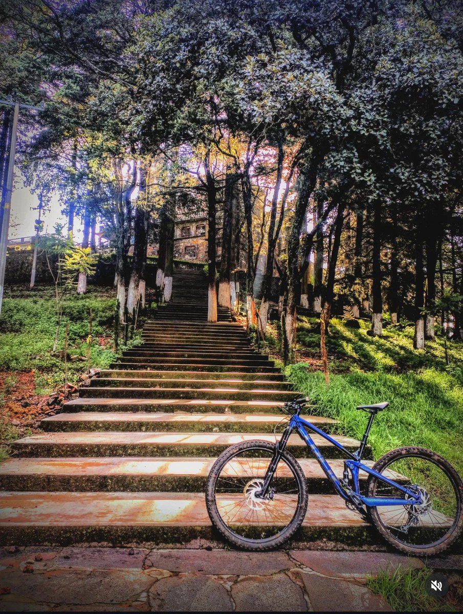 MuShionR's tweet photo. 🚵🏽... "Hay un libro abierto siempre para todos los ojos: la naturaleza" 😉 (Jean Jacques Rousseau)

#MTB #trekbikesmexico #garminmexico #ciclismo #naturephotography https://t.co/ri7DYFifGc