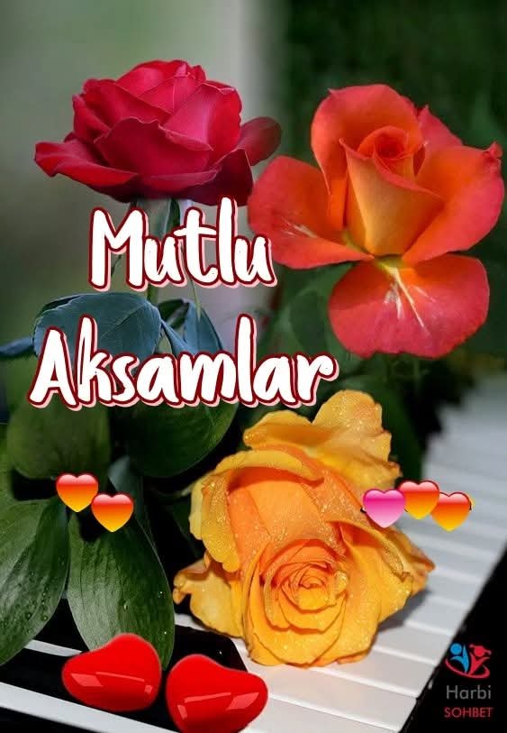 glayli6w's tweet photo. #eskisehireskort tatlı akşamlar #eskisehir #eskişehirtepebaşı #eskisehirbayan #eskisehirbağlar https://t.co/AeXDiEE77G