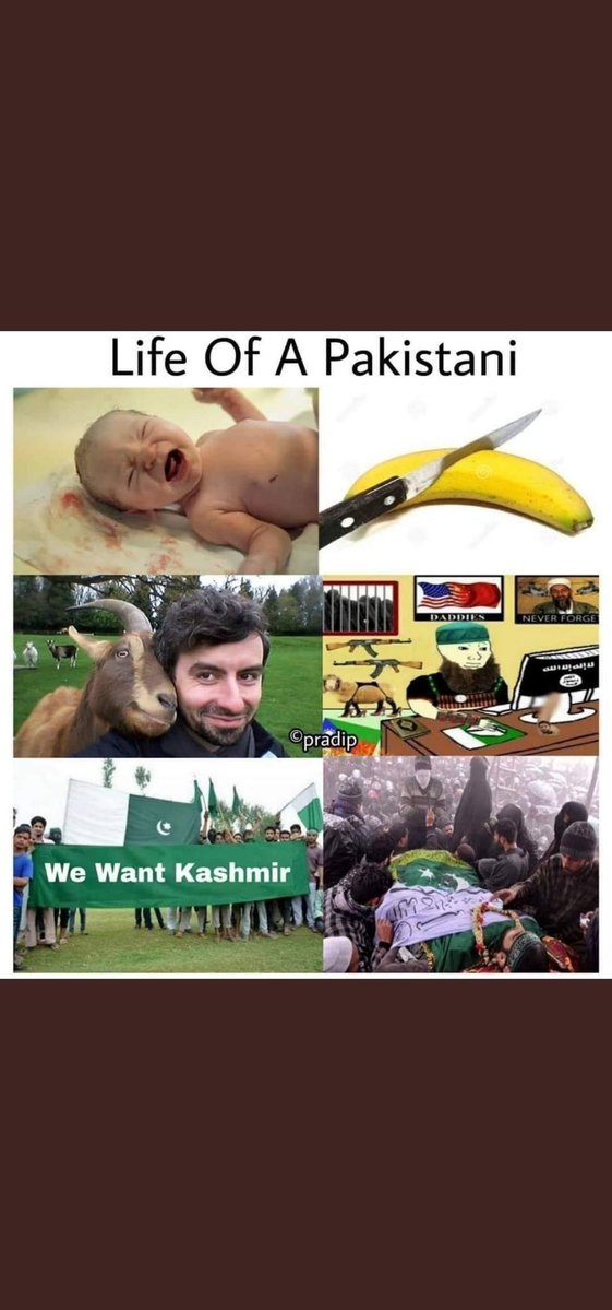 YakuzaHawk's tweet photo. @MDUmairKh Yes yes 😂😂🤣🤣
Only lulli cutting and goat f**king was discovered in pakistan. https://t.co/4xrEt6nz8B