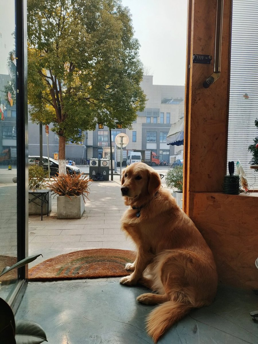 Elbartoni_YT's tweet photo. My morning mood: snuggled up with my pup and a warm latte  Best way to start the day! https://t.co/cK29XQ3LxL