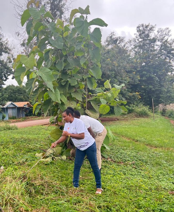 PPAGGhana's tweet photo. PPAG joined the nationwide clean-up exercise reaffirming our commitment to creating cleaner, healthier communities.

Visit any PPAG clinic, for a clean, and client-friendly environment, alongside quality (SRHR) services 
Visit us Today!! You can reach us toll free on 0800202010. https://t.co/KNaLnohnSN