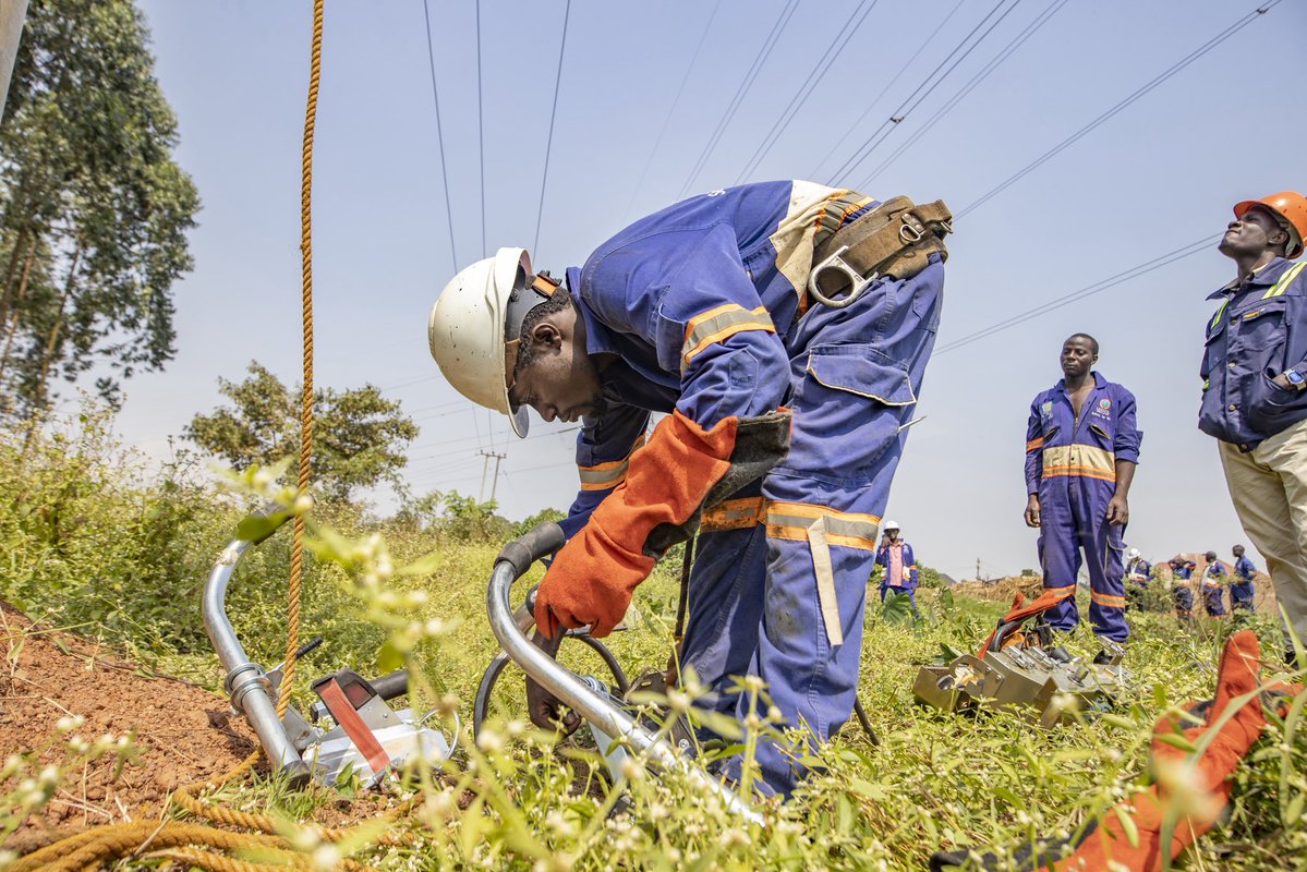UEDCLTD's tweet photo. This protective measure underscores our commitment to continuous electricity delivery while ensuring environmental stewardship by supporting harmonious coexistence of electricity infrastructure with wildlife. 

#UEDCLinService #LightingUpYourWorld https://t.co/AlzC1gYXde