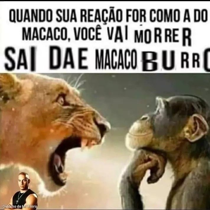 A Página Confusa tweet media