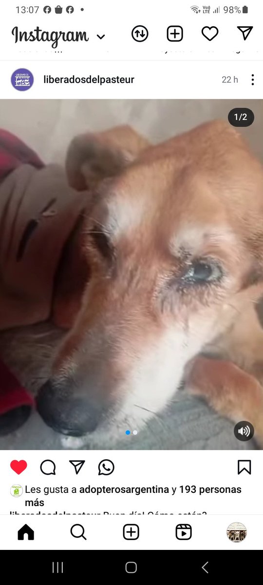 ComoNoAdorarlos's tweet photo. ODIN NECESITA AYUDA PARA SU INTERNACION🥺🙏🙏
Es un Liberado del Pasteur👇👇
❣️Alias: liberadosparasiempre 
https://t.co/W1M4XRIWn4 https://t.co/hxbvdqaM2P