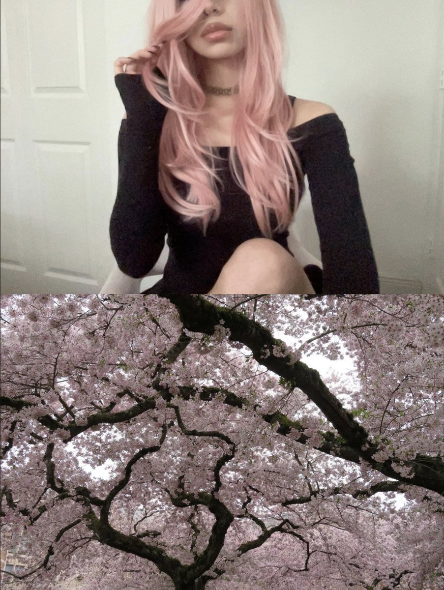 kiireiu's tweet photo. sakura #me https://t.co/n6Ma9LSlga