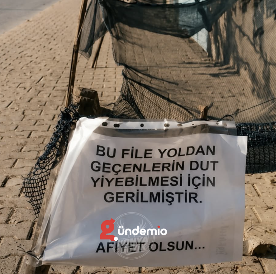 gundemio's tweet photo. Konya'da dut ağacının altına file koyan vatandaşın astığı yazı: https://t.co/KTra7z5efz