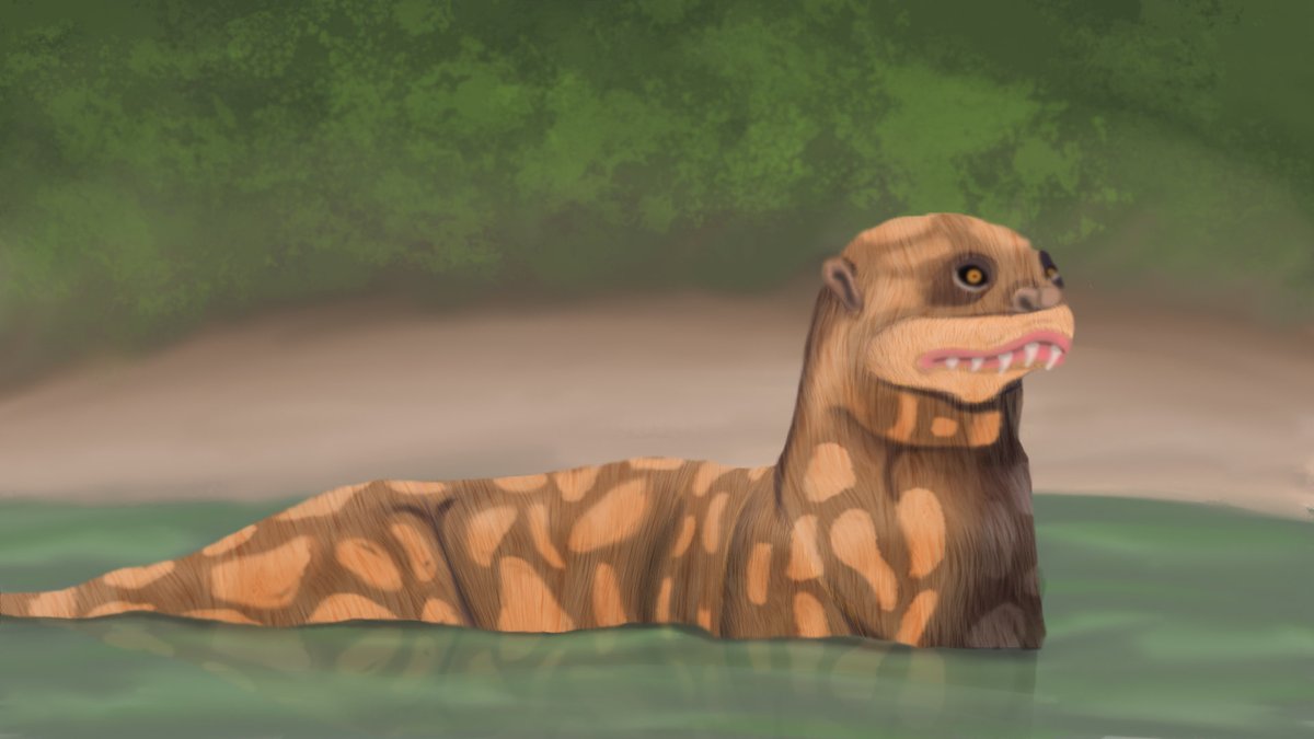 LanternLanePro's tweet photo. Alright here’s another cryptid I need help with! Aquatic, otter-like animal seen in New Zealand. What is this? #cryptids https://t.co/d00K1MgHzB
