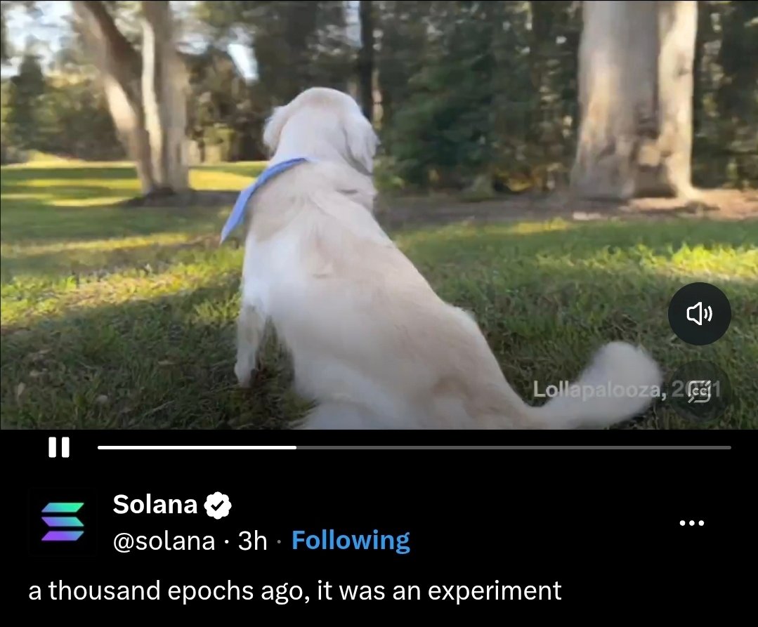 Milani0x's tweet photo. THIS IS THE ONLY ANIMAL IN SOLANA EPOCH VIDEO

AND ITS CALLED $MOGDOG
AND TRUST ME THIS WILL BE OVER MILLY IN NEXT 2 HOURS!!!

If you left behind it is still time to jump in if you don't believe me ask @solana 

MARK IT https://t.co/oMLd7g1F94
