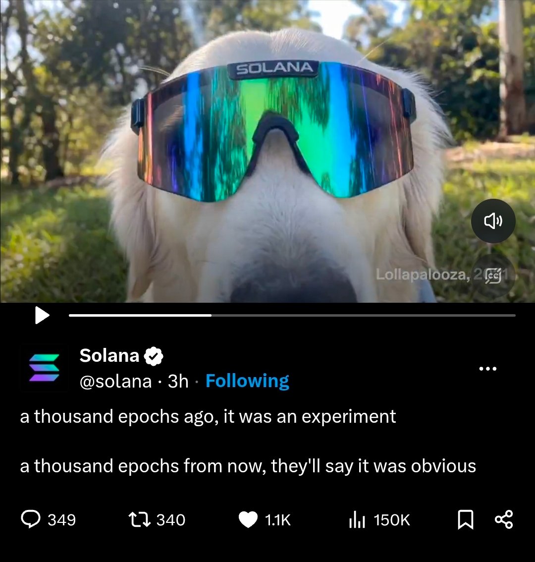 Milani0x's tweet photo. THIS IS THE ONLY ANIMAL IN SOLANA EPOCH VIDEO

AND ITS CALLED $MOGDOG
AND TRUST ME THIS WILL BE OVER MILLY IN NEXT 2 HOURS!!!

If you left behind it is still time to jump in if you don't believe me ask @solana 

MARK IT https://t.co/oMLd7g1F94