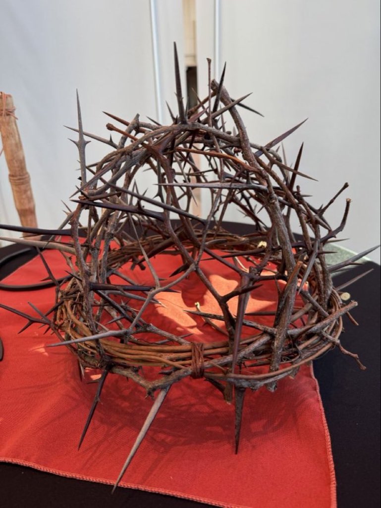 churchtalkative's tweet photo. This is a replica of the crown of thorns Jesus wore. 

He endured unimaginable suffering so that we could have life, forgiveness, and hope. 

Never forget what it cost Him to save us. https://t.co/yRrNdzdFPq