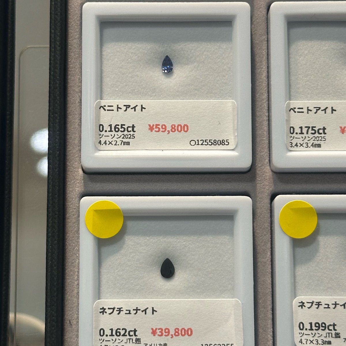 miso_1217's tweet photo. ←ネプベニと
→ネプベニね

ふう………………。 https://t.co/rLGzo73hof