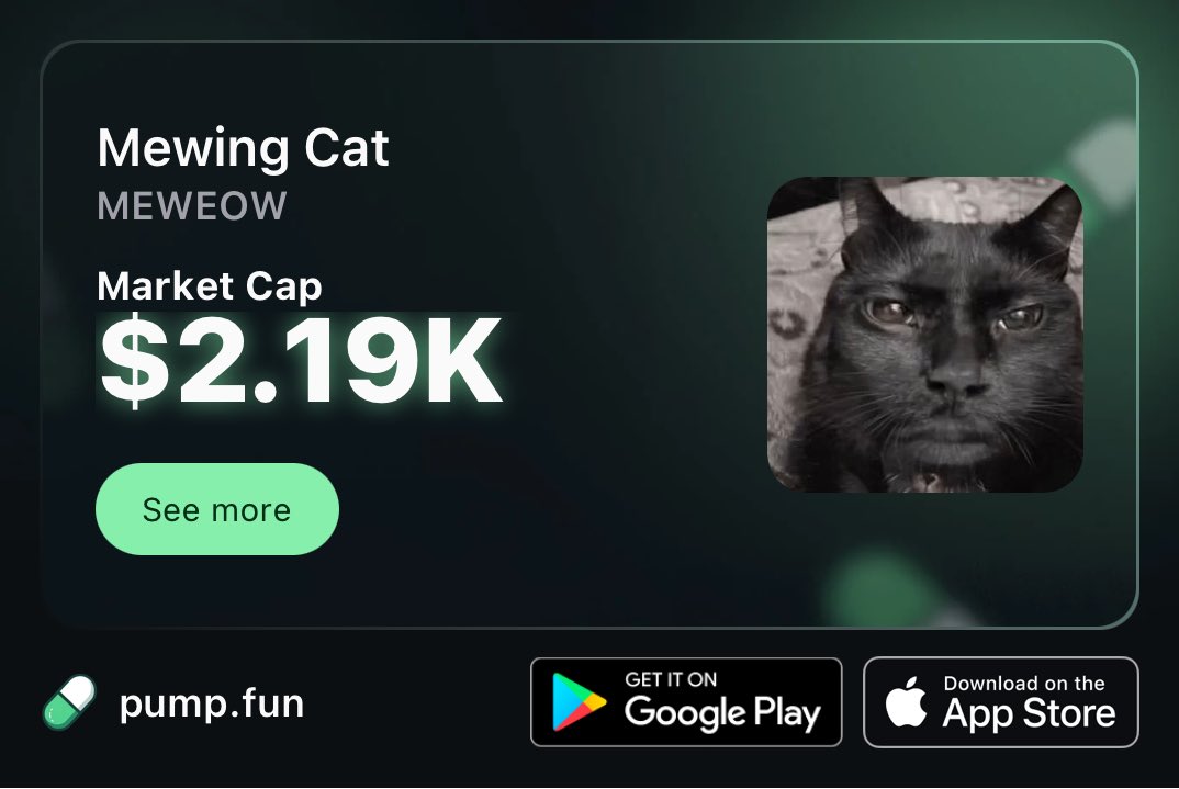 Mewing Cat tweet media