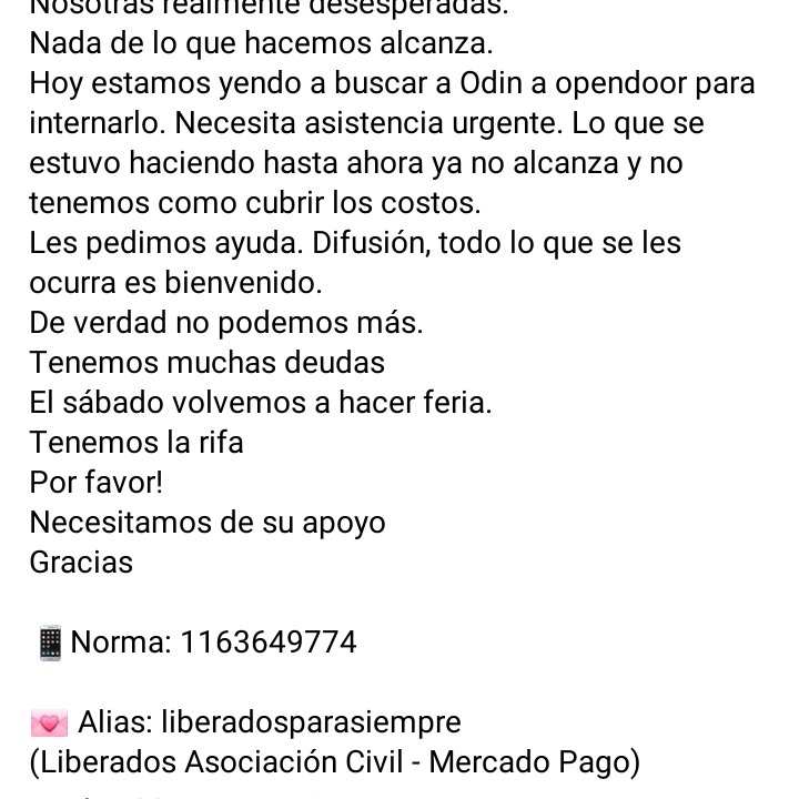 ComoNoAdorarlos's tweet photo. ODIN NECESITA AYUDA PARA SU INTERNACION🥺🙏🙏
Es un Liberado del Pasteur👇👇
❣️Alias: liberadosparasiempre 
https://t.co/W1M4XRIWn4 https://t.co/hxbvdqaM2P