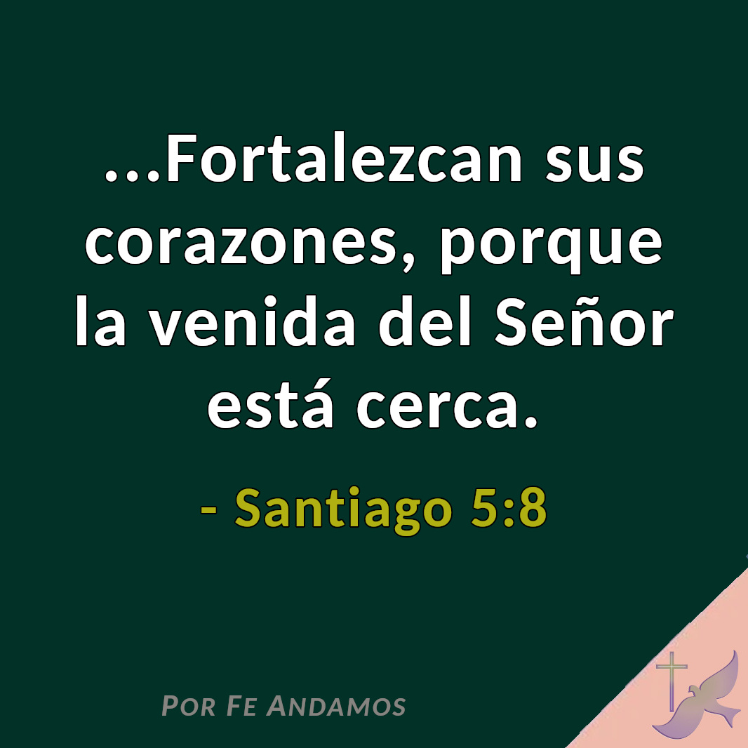 PorFeAndamos's tweet photo. 🙏
LA VENIDA DE CRISTO ESTÁ CERCA

Tener esperanza en el regreso de Jesús nos acerca a Dios. Permanezcamos fieles en nuestro caminar con Cristo, reflexionando sobre Su promesa

Juan 14:3 - Cuando todo esté listo, volveré para llevarlos, para que siempre estén Conmigo...

 AMÉN
. https://t.co/qJmFKTKC8y