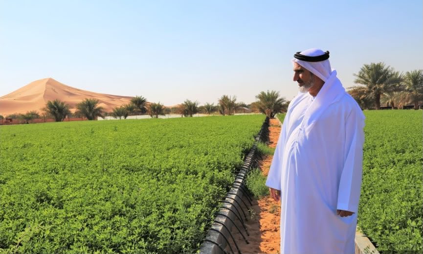 Hamad_AL_Jabri's tweet photo. الحمدالله رفعت في انتاج مزرعتي للطلب العالي على منتجات مزرعتي الثرية بكافة انواع المنتجات الزراعية و جودة عالية 

و ايضا قمت بفتح مخازن في عدة أسواق خارجية لتمد بالطلب العالي العالمي على منتجاتي و في اسرع وقت في التسليم 

بالمناسبة تلقيت اتصال من مزرعة مجاورة فاشلة من الاتحاد المزارعين الفاشل يريد مقابلتي و إقناعي بخفض إنتاجي 😂 فأغلقت الهاتف في وجوه "عدة مرات" و "رفضت" استقباله في مزرعتي 

لا سلطة لاحد في مزرعتي سواء من هذا الجار الفاشل او اتحاد المزارعين الفاشل