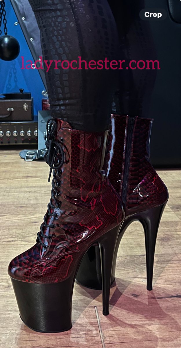 ladyrochesterx's tweet photo. Some admire Mistress’s boots.

The wiser ones kneel.

It’s remarkable how quickly a man discovers his place.👢

If you want to discover yours, contact me to get booked in - now taking August bookings. Only a few spaces left for July. https://t.co/VPlAHKBfUX