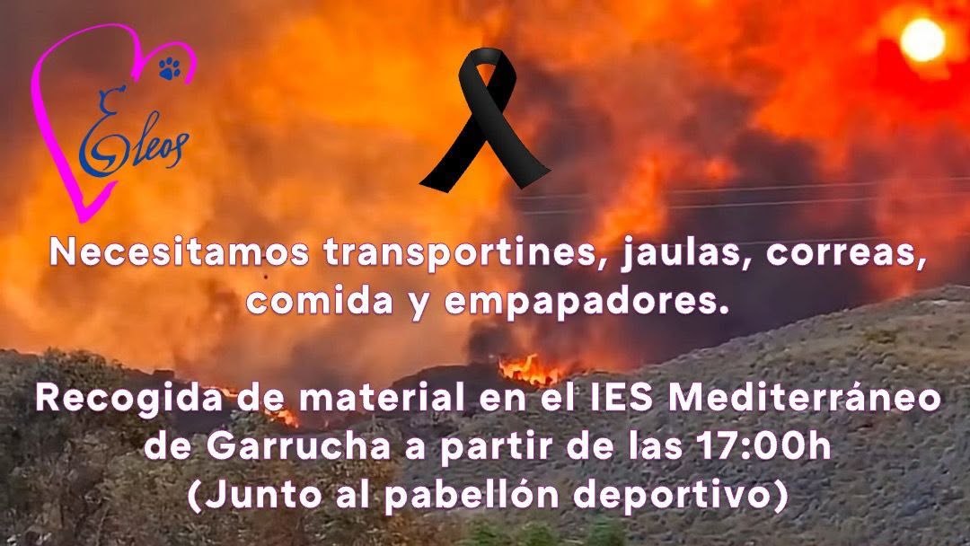 AnimalesPodemos's tweet photo. 📢 Ayudemos a los animales afectados por los terribles incendios en Los Gallardos (Almería). https://t.co/Mi5eA50pqf
