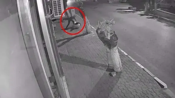 İzmir'de Genç Kıza Saldıran Şüpheli Hakkında Tutuklama Kararı