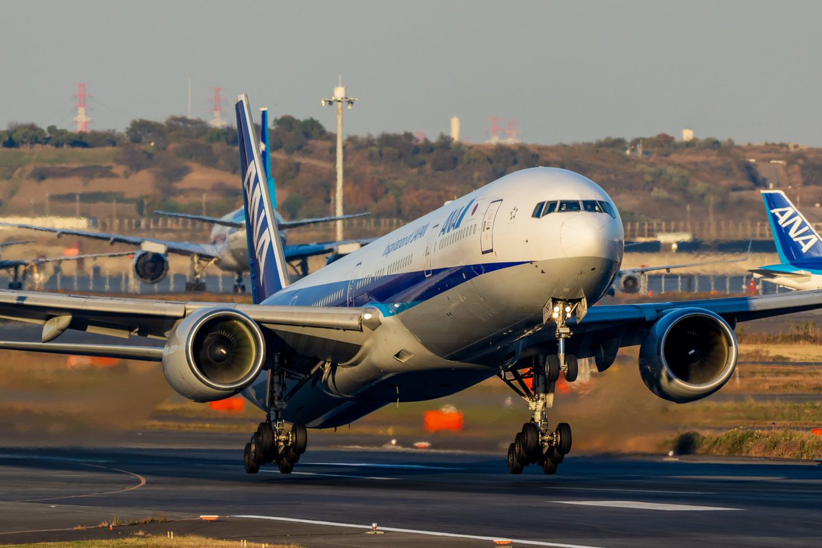 tekken0814's tweet photo. #B777からしか得られない栄養素 https://t.co/kbznw25UTw