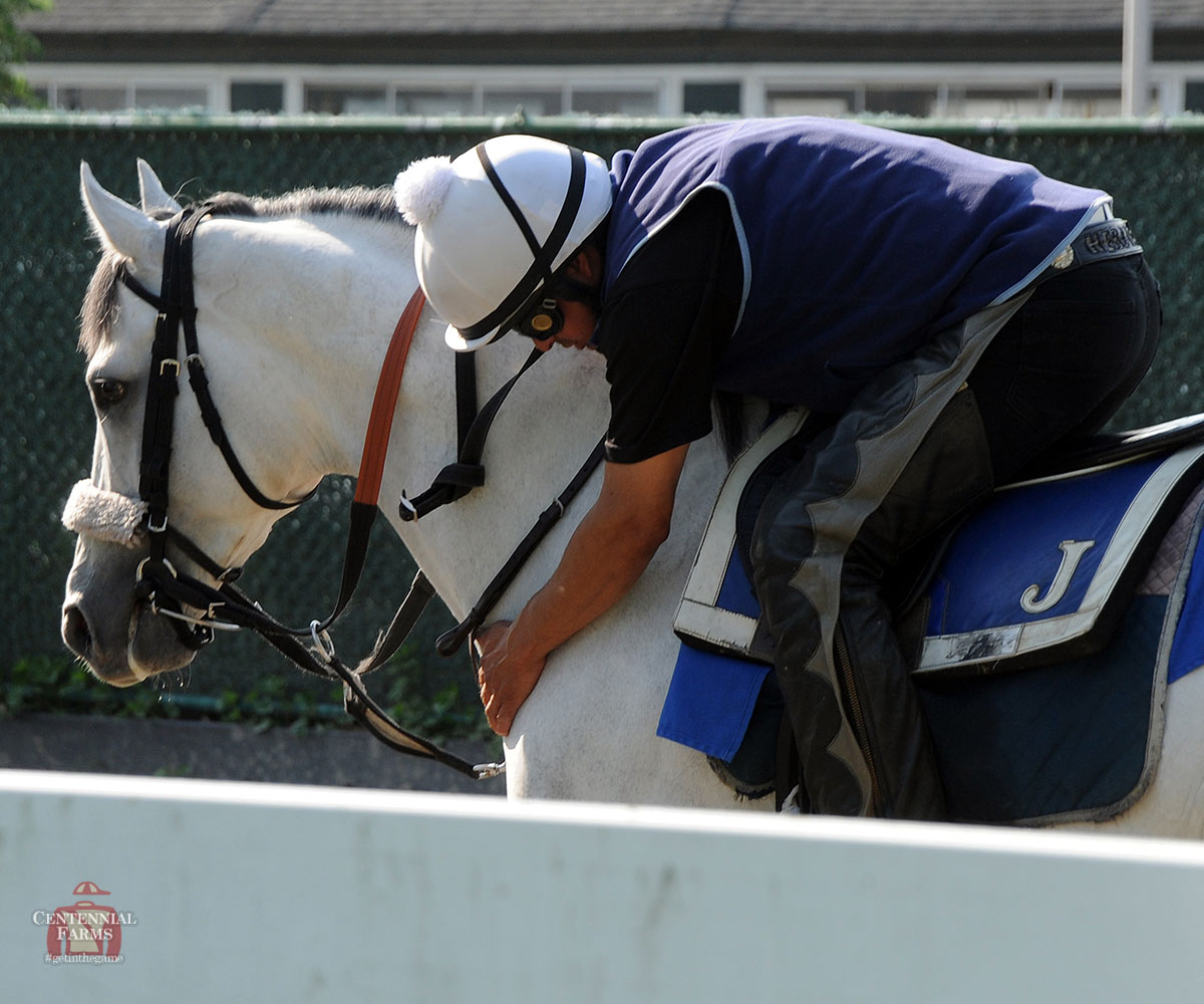 Centennial_Farm's tweet photo. #FlashbackFriday to Herbie escorting Unified to the track, hugging @Jubacolt, alongside Preservationist before his career debut, and leading two-year-old Rocketry fresh off of the van from #Middleburg. Don't miss his @StableRecovery1 story! https://t.co/jTscTQkbXX
