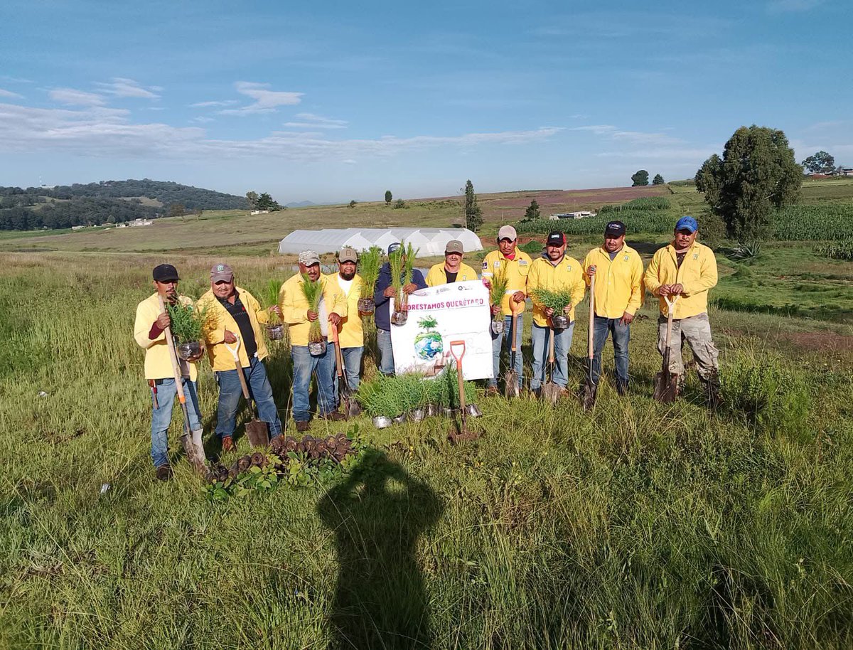 RosendoAnaya's tweet photo. En Santiago Mexquititlán, Barrio 5º, en #Amealco, seguimos impulsando la reforestación en esta zona del municipio. Hoy, la mejor forma de fortalecer nuestros ecosistemas y construir un mejor futuro es plantando un árbol. #AquíContigo https://t.co/n45u6JqhTA
