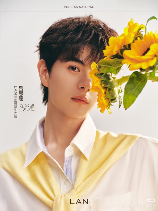 aylioism's tweet photo. my sunflower 🌻

#Lyusitong #Aylio https://t.co/EYcNXeHa11