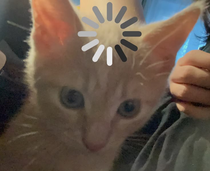 Mingi | 🍽twt.܁₊⊹.܁˖.܁ tweet media