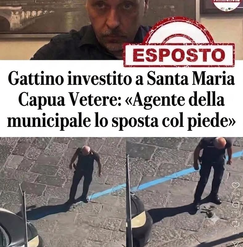 Marcello Crescentini tweet media