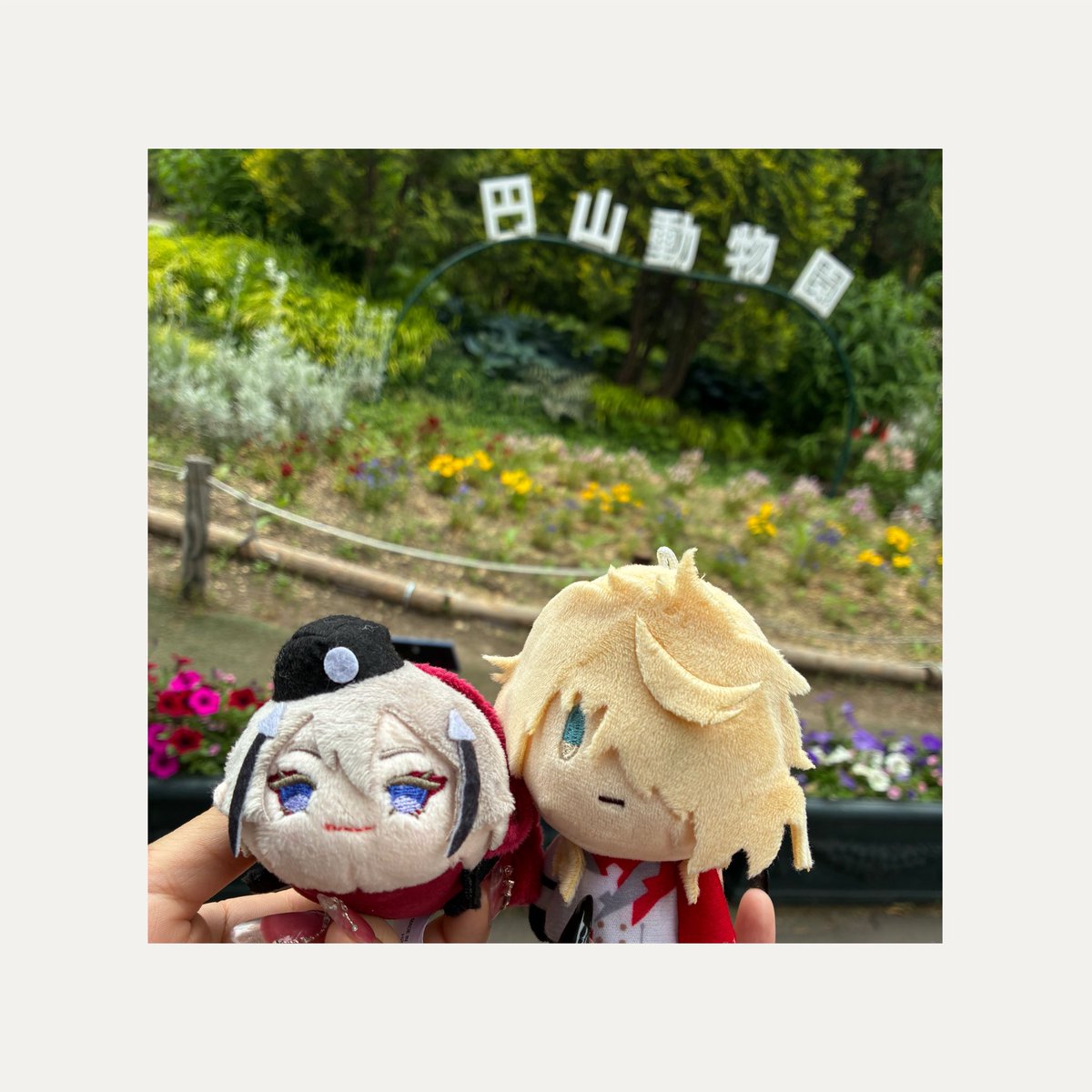 ⭐︎寝る tweet media