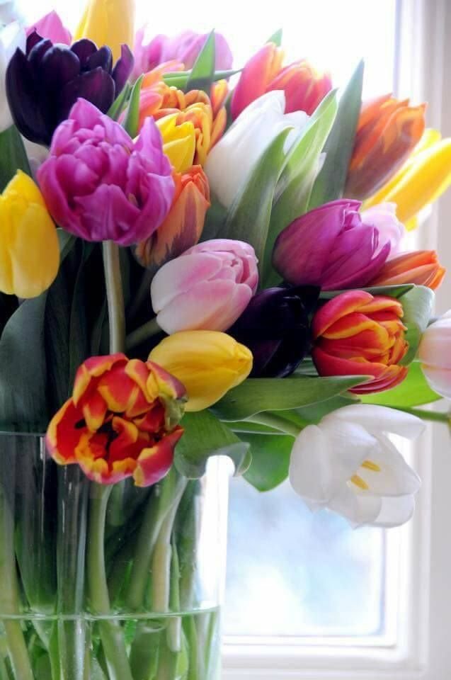 Mara_4T's tweet photo. Que hoy no te falten motivos para sonreír, fuerza para seguir y paz para disfrutar el camino. 

¡Buenos días! 
#FelizViernes https://t.co/ssBud0XDXt