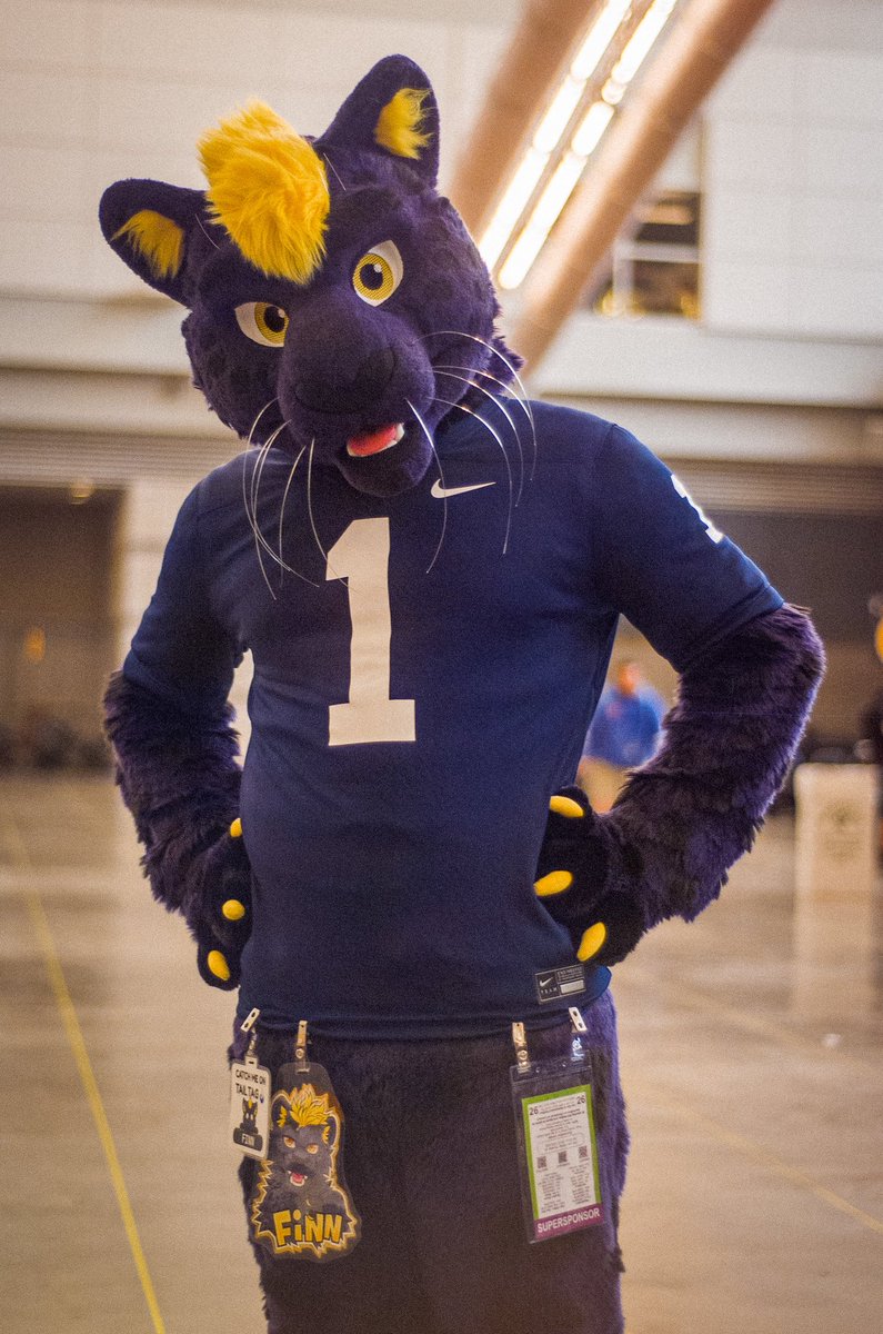 FinnThePanther's tweet photo. Number 1️⃣ kitty!

Happy #FursuitFriday!
📸 ~ @KaiFurPhotos 
🧵~ @TwinkyArts 

#furryfandom https://t.co/nU02gpWtJN