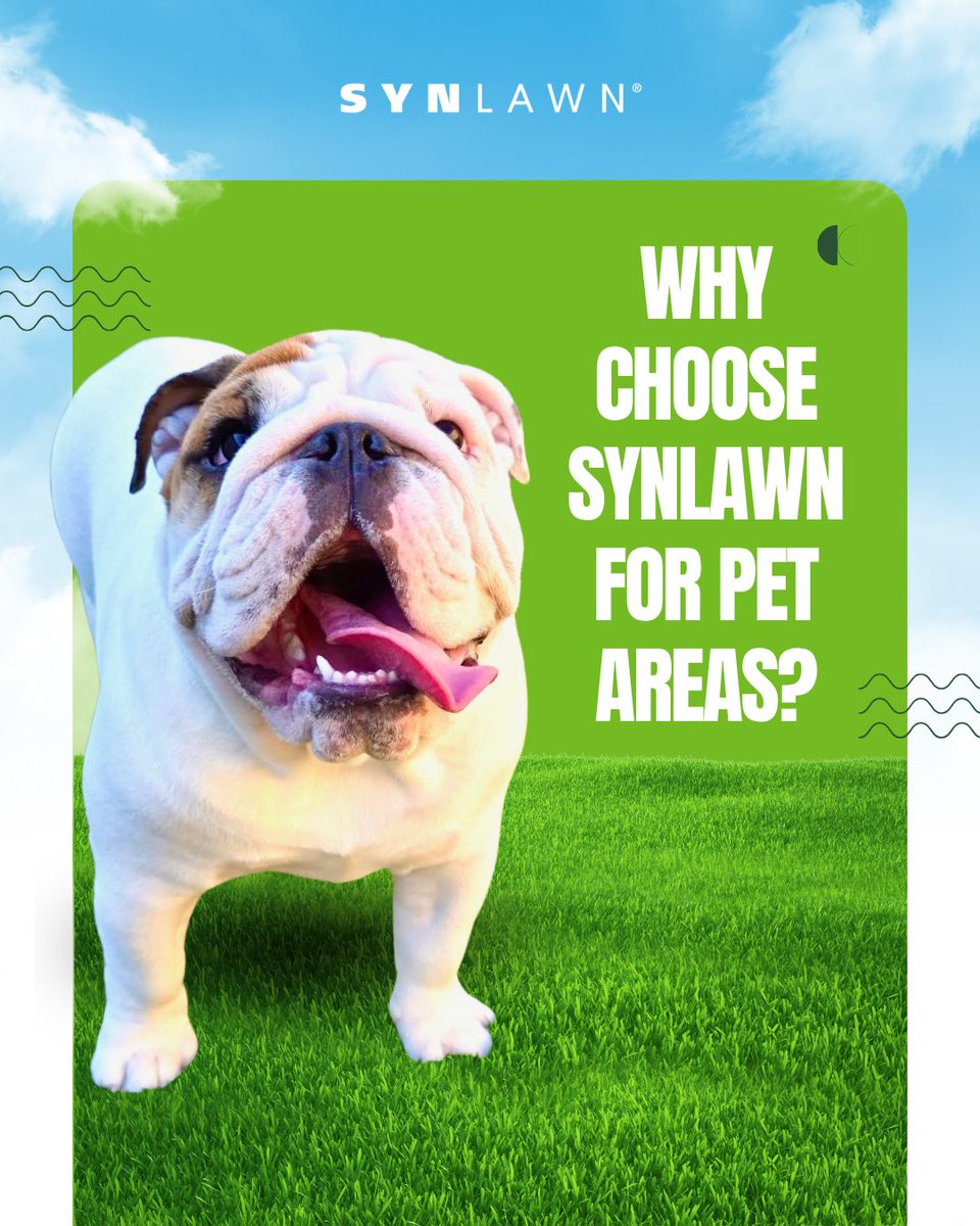 SYNLawnIowa's tweet photo. We know your pets are family. That's why every pet SYNLawn project is designed to give them a safe and fun place to play, all while making life a little easier for you.

Want to learn more? Message us!💚 

#pets #iowa #petfriendly #petcare #syntheticgrass https://t.co/VlpfH6jaXU