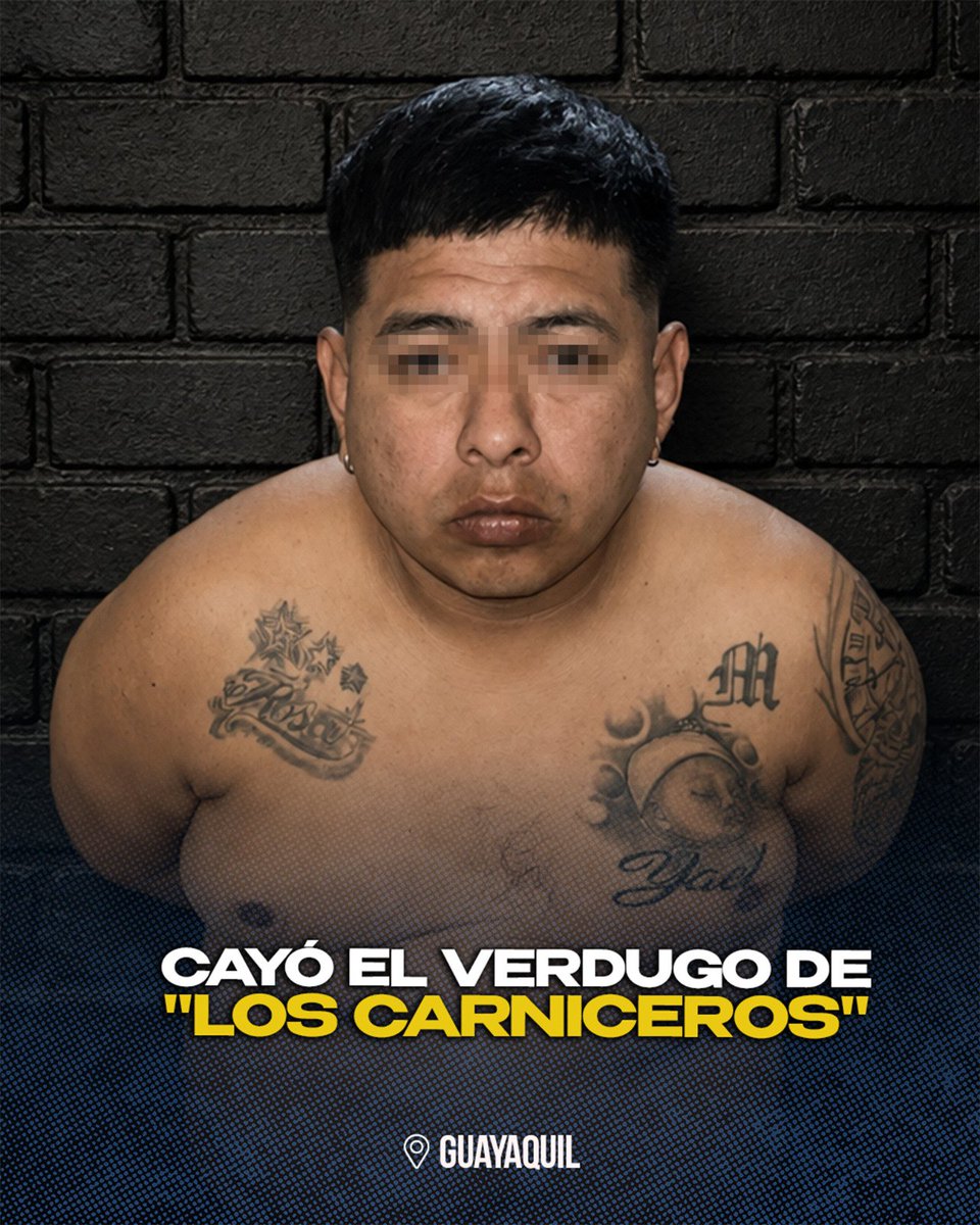 DefensaEc's tweet photo. 🚨 #URGENTE

¡CAYÓ EL VERDUGO DE “LOS CARNICEROS”! 💪

!El segundo capo más buscado de la banda criminal de Los Carniceros ha sido capturado!

➡️ El miedo que sembró en Guayaquil empieza a derrumbarse: En una operación del #BloqueDeSeguridad y el Centro Nacional de inteligencia fue aprehendido alias “Gabo”, de la organización delictiva “Los Carniceros”. 

💥Responsable de extorsiones, sicariatos, secuestros, tráfico de drogas y robos a mano armada.

💥Vinculado con violentos hechos de sicariato, descuartizamientos y desapariciones en las Malvinas.

!El miedo cambia de bando. La ofensiva contra las mafias no se detiene!