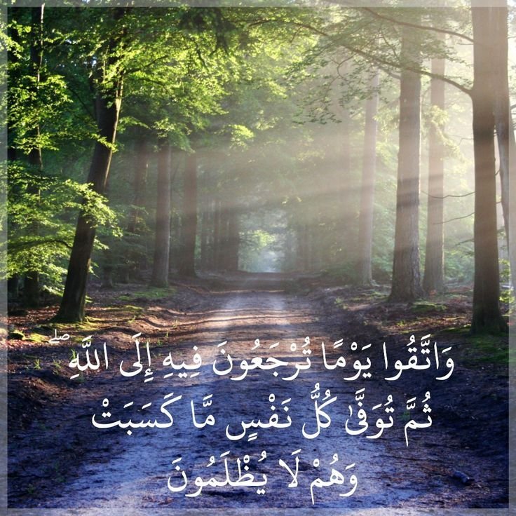FATUMA tweet media