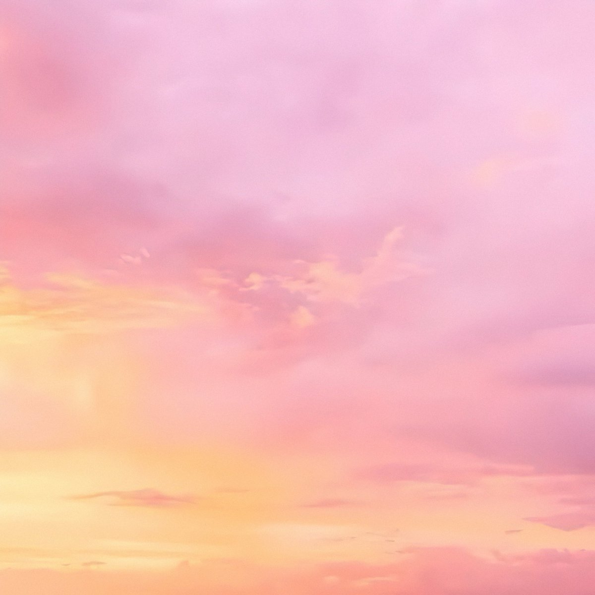 gardenofcolours's tweet photo. i love when the sky looks like strawberry lemonade https://t.co/zCnkcc6LLH