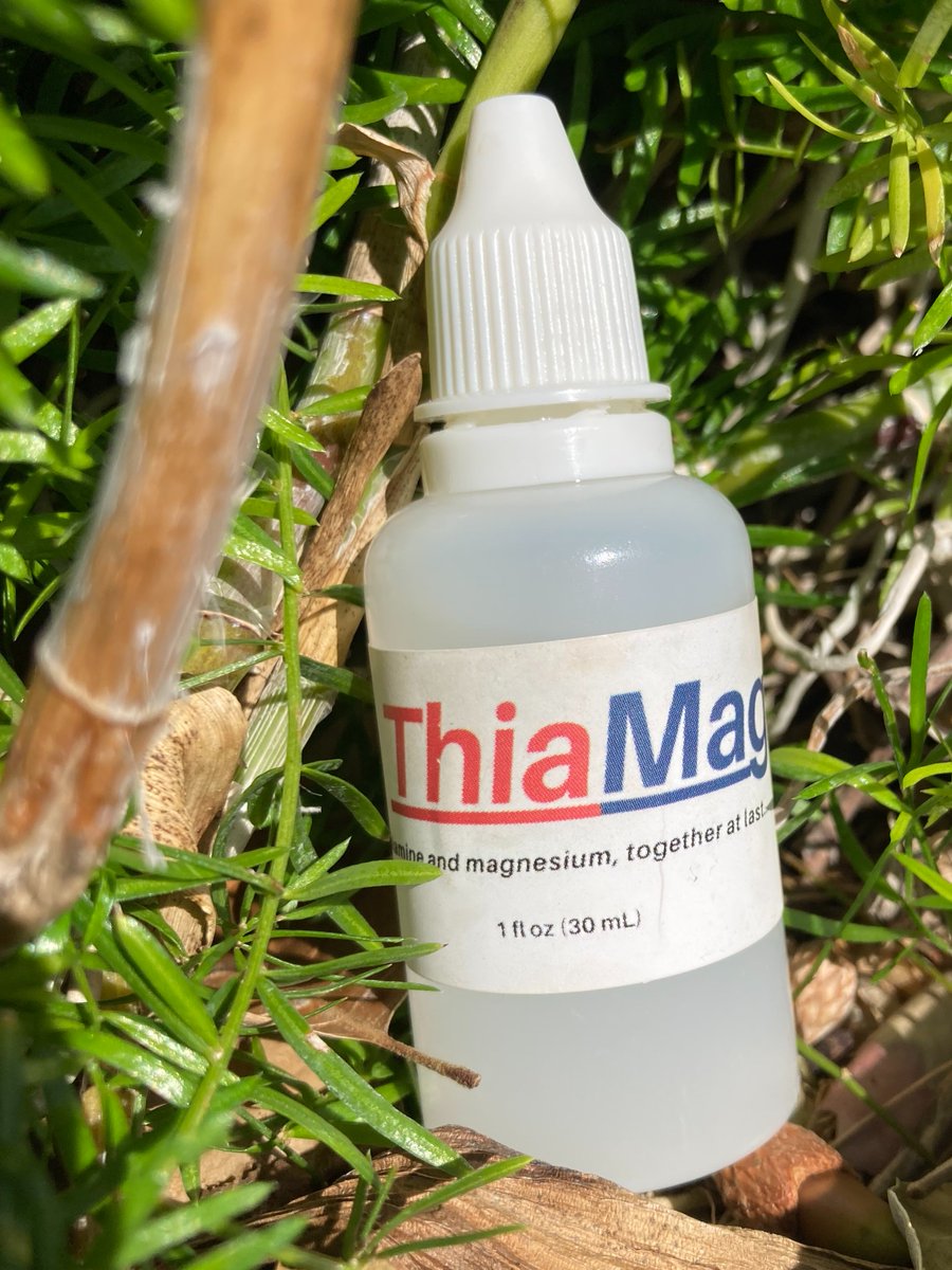 spheno_xiphoid's tweet photo. Some time ago, I started experimenting by adding thiamine to magnesium oil.

After months of testing and refining, I developed ThiaMag, a blend of thiamine and magnesium in a topical package.

Today I’m releasing the first small batch, get it at:

https://t.co/lT1h5yVR27 https://t.co/XzfiDWEXE6