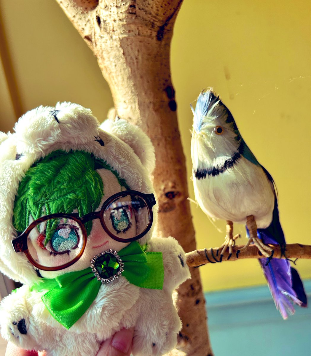 みに。 tweet media