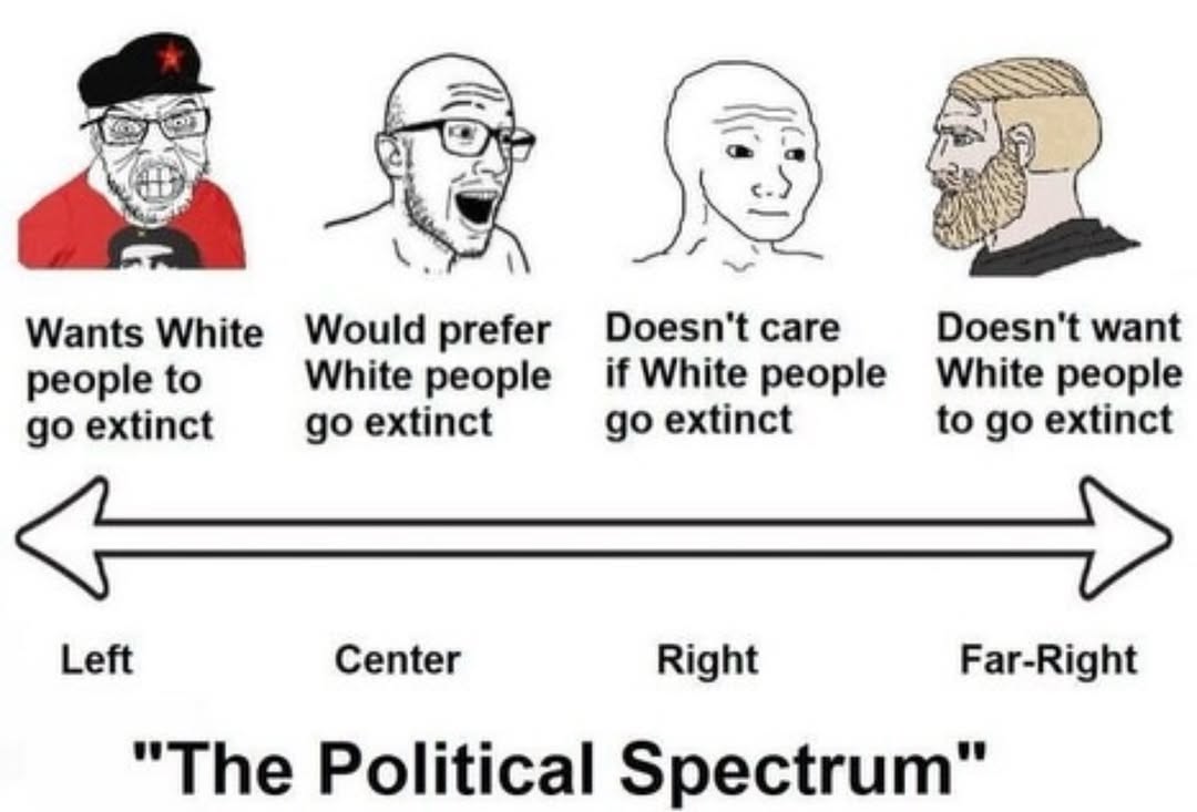 GasMaskNat's tweet photo. If you are White European this is your political reality. Everything is downstream of survival. https://t.co/zCobniNLer