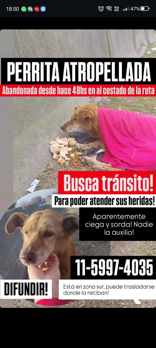 patripeyrou's tweet photo. Rt
Ayuda urgente https://t.co/dMA3k6UJOv