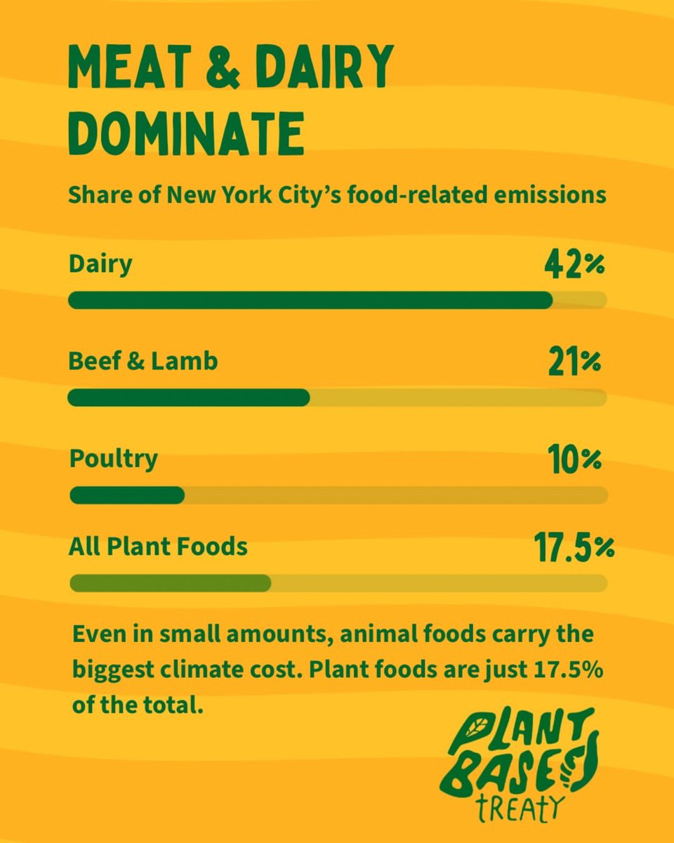 Plant_Treaty's tweet photo. Since 2019, NYC has grown plant proteins by 130%, added 46% more fruit &amp; veg, &amp; slashed beef &amp; lamb by 67%. From school lunches to hospital trays, plants are becoming the default &amp; not the exception.

The result? Food emissions down 36%!

This is what climate action looks like! https://t.co/qjPABQTh8V