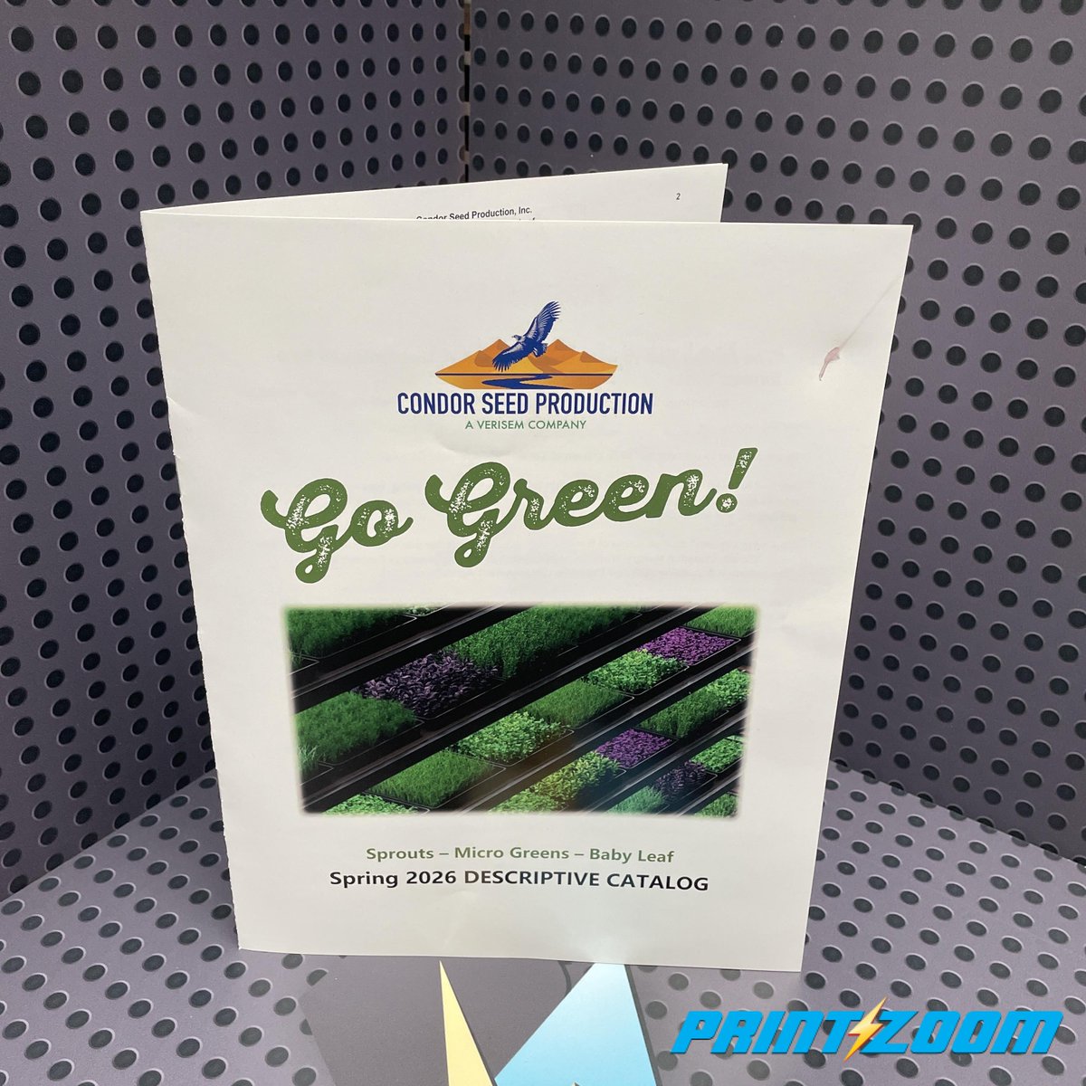 PrintInAFlash's tweet photo. 12-page wholesale catalogs for Condor Seed Production! ✅
Full color, saddle-stitched, printed on 100# gloss text for a clean, professional finish.
Need catalogs or booklets printed? Let’s get started! ✨
#Booklets #customprinting #amazing #YumaAZ #PrintZoom #Printinaflash https://t.co/s2vzL2uLuK