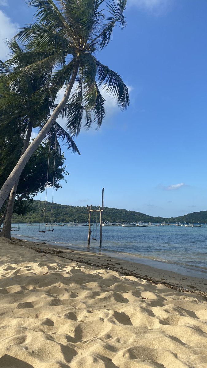 fvcktuma's tweet photo. karimUNCH🌺🪸🌞🦋🏝️🏖️🍹 https://t.co/m5cSSqPX7o