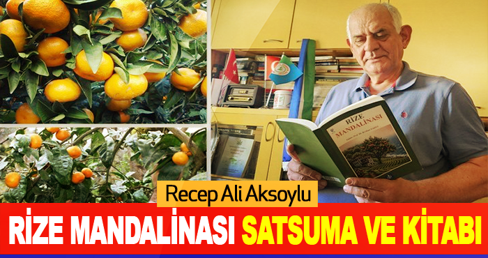 recepyazgan01's tweet photo. Recep Ali Aksoylu yazdı;
🍊 **Rize'nin kayıp hazinesi yeniden keşfediliyor!**

Çaydan önce bölge ekonomisinin gözdesi olan **Rize Mandalinası (Satsuma)** yeniden yükselişte.
#Rize #Satsuma #RizeMandalinası
https://t.co/OD39781wfe https://t.co/adxSZImIao