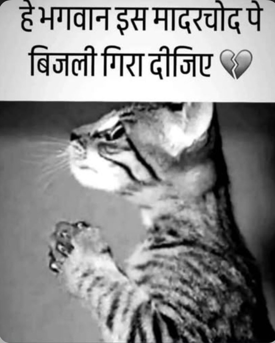 pranv21's tweet photo. @GWR https://t.co/iSn2e976VU