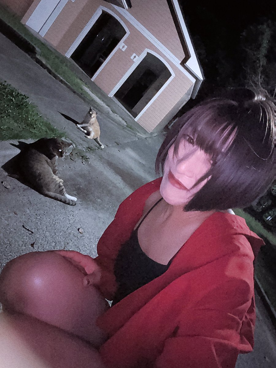 buttocksHiromi's tweet photo. 猫トイレで🐈️とコラボ💕 https://t.co/4hHp8M1hH8