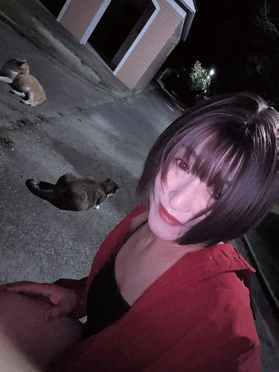 buttocksHiromi's tweet photo. 猫トイレで🐈️とコラボ💕 https://t.co/4hHp8M1hH8