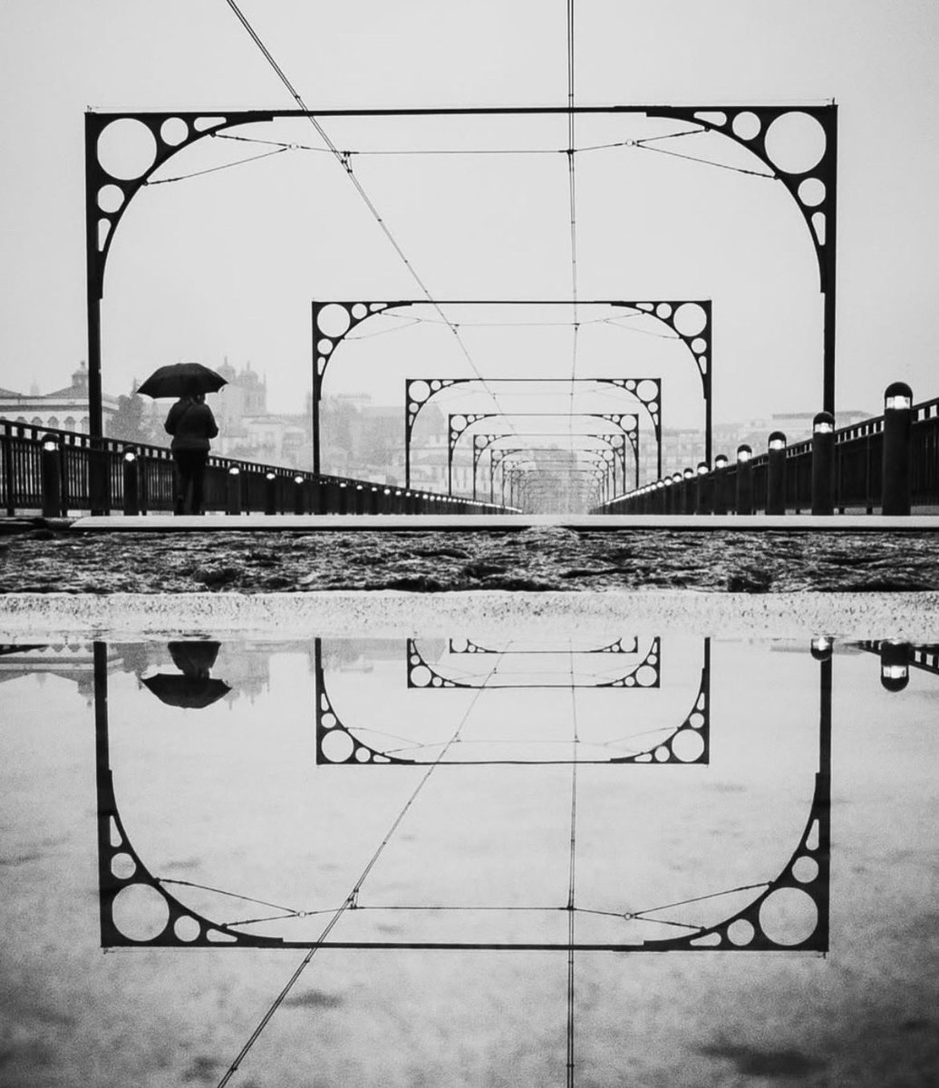 the_gpc_'s tweet photo. A monochrome 📸 https://t.co/jDx2kBg5N9
