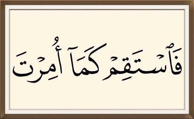 brktpsever's tweet photo. Emrolunduğun gibi dosdoğru ol! 
Hud/112 https://t.co/sVTMjdZDkk