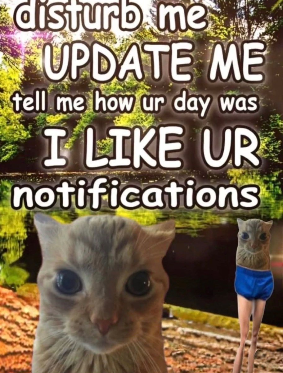 nocontextmemes's tweet photo. https://t.co/wMXOKpC3gM
